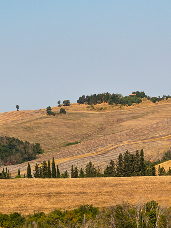 weekend in tuscany © Will Travel for Food